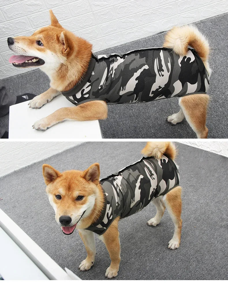 Kutya Pizsama