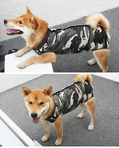 Kutya Pizsama